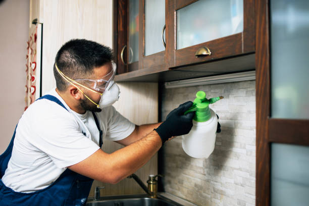 Best Best Pest Control Companies  in Ntgomery City, MO