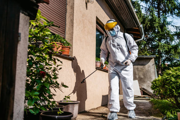 Best Pest Control for Restaurants  in Ntgomery City, MO
