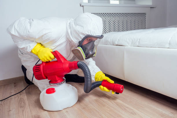 Best Exterminator Services  in Ntgomery City, MO