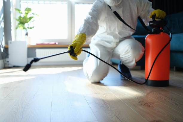 Best Flea Control Services  in Ntgomery City, MO