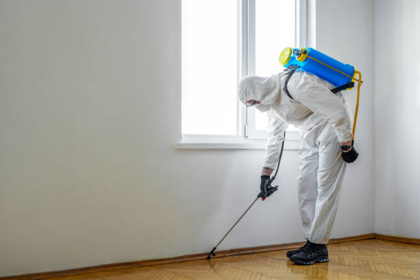 Best Pest Control for Homes  in Ntgomery City, MO