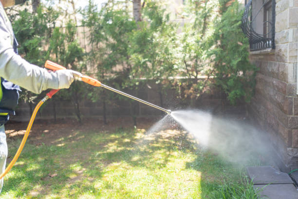 Best Emergency Pest Control  in Ntgomery City, MO
