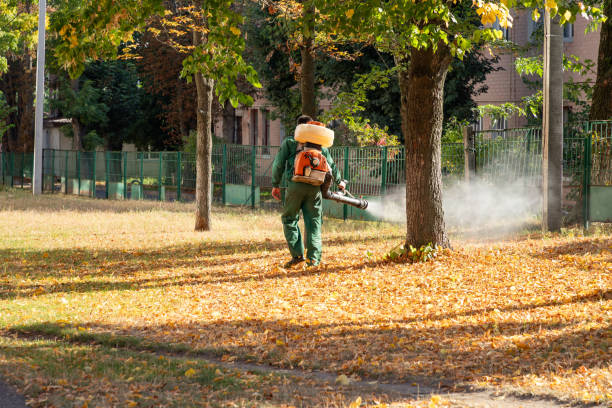 Best Local Pest Control Services  in Ntgomery City, MO