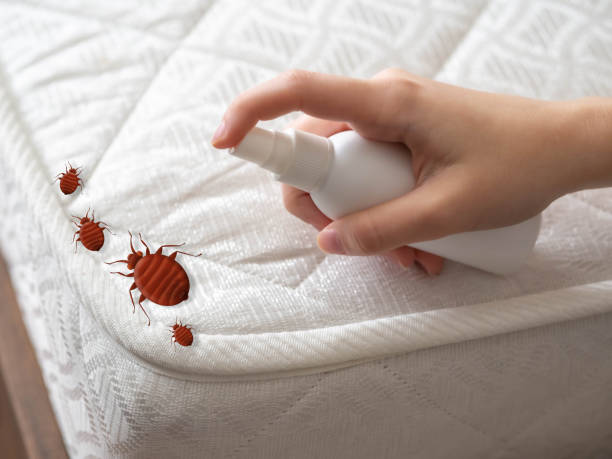 Best Commercial Pest Control Services  in Ntgomery City, MO