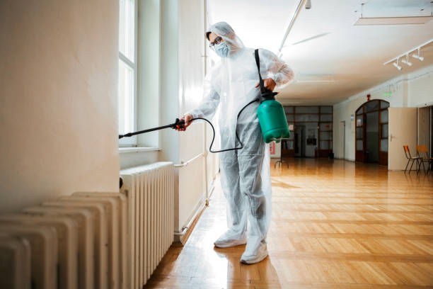Best Pest Removal Services  in Ntgomery City, MO